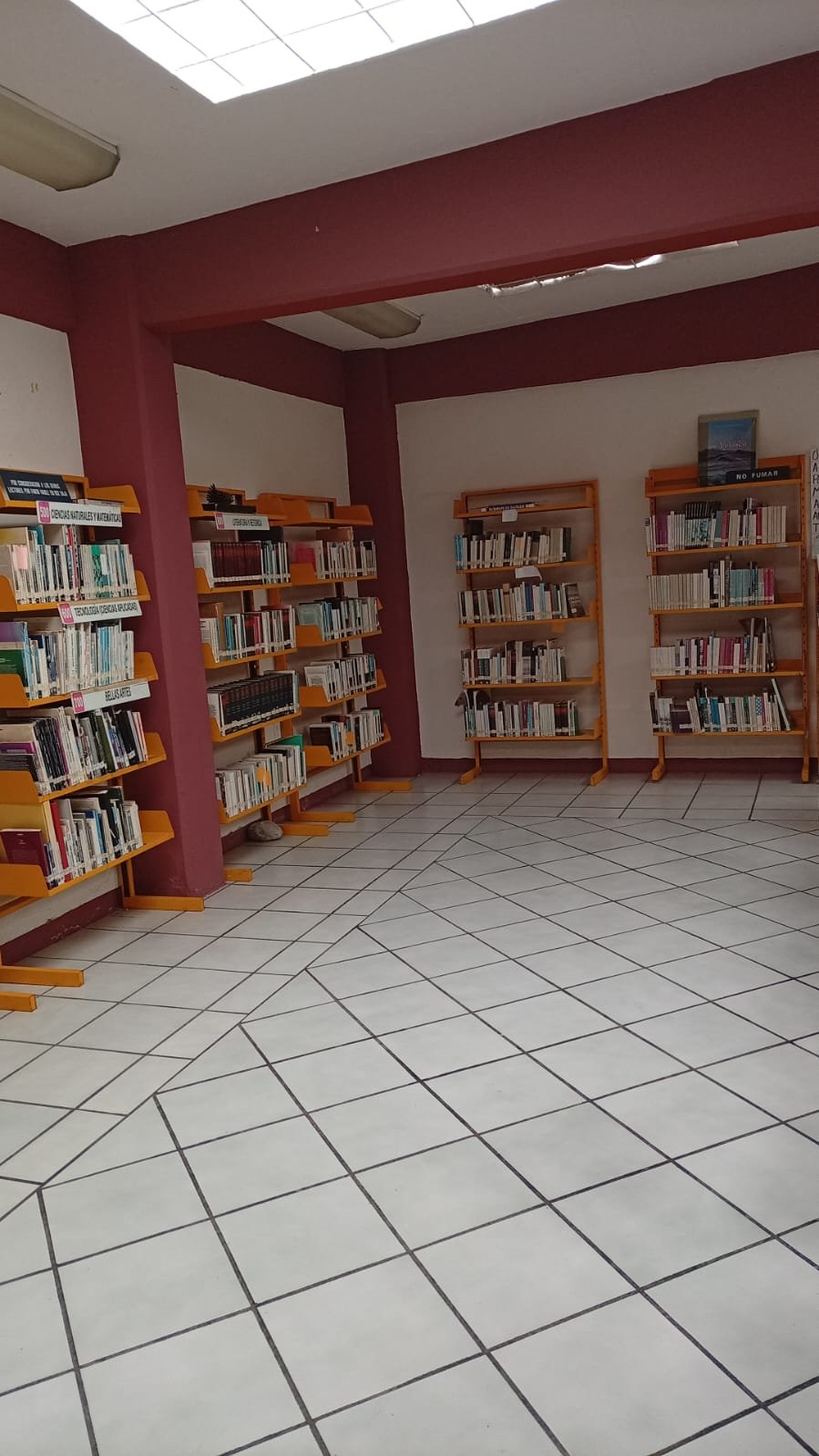Biblioteca Lic. Jaime Vazquez Castillo